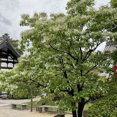 投稿日:2024年5月2日 写真