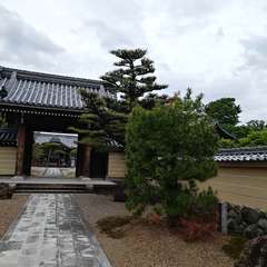 投稿日:2024年4月29日 写真