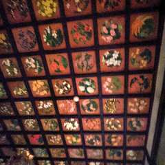 投稿日:2023年3月16日 写真