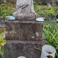 投稿日:2023年3月16日 写真