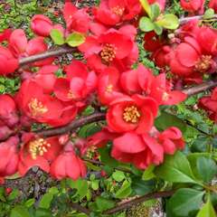 投稿日:2023年3月16日 写真