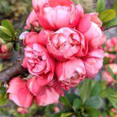 投稿日:2023年3月16日 写真