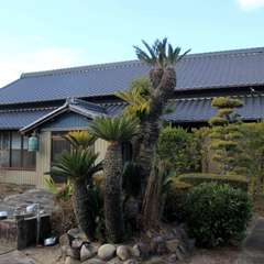 頓教寺 本堂(投稿日:2024年1月9日) 写真