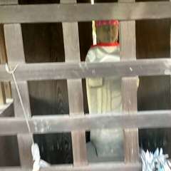 投稿日:2022年11月6日 写真