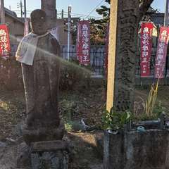 投稿日:2022年11月5日 写真