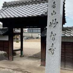 妙智寺(投稿日:2024年11月16日) 写真