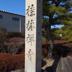 投稿日:2023年1月8日 写真