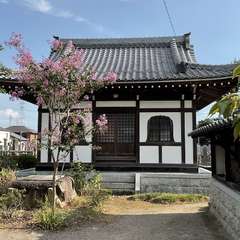 投稿日:2024年9月5日 写真