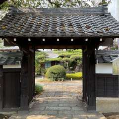 投稿日:2024年9月5日 写真