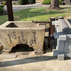 投稿日:2024年9月5日 写真