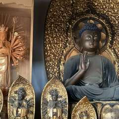 投稿日:2024年9月5日 写真