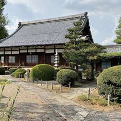 投稿日:2024年9月5日 写真