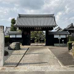 投稿日:2024年9月5日 写真