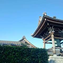 福新山 全徳寺(投稿日:2024年10月10日) 写真