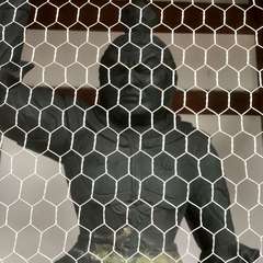 投稿日:2023年1月14日 写真