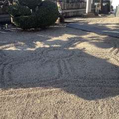 投稿日:2023年1月10日 写真