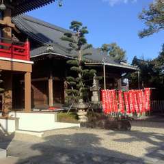 投稿日:2023年1月10日 写真