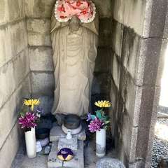 投稿日:2023年1月10日 写真