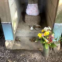 投稿日:2023年1月10日 写真