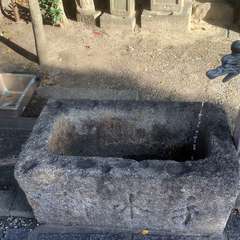 投稿日:2023年1月10日 写真