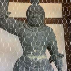 投稿日:2023年1月10日 写真