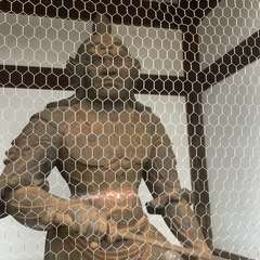 投稿日:2023年1月14日 写真