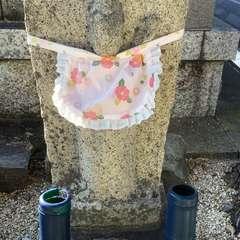 投稿日:2023年1月10日 写真