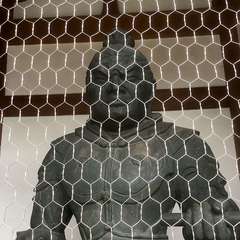 投稿日:2023年1月14日 写真