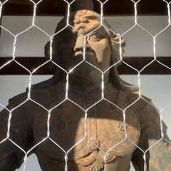 投稿日:2023年1月10日 写真