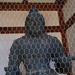 投稿日:2023年1月10日 写真