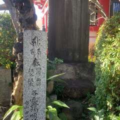 投稿日:2023年1月10日 写真