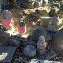 投稿日:2023年1月10日 写真