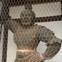 投稿日:2023年1月14日 写真