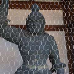 投稿日:2023年1月10日 写真