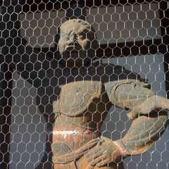 投稿日:2023年1月10日 写真