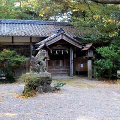 高宮神社 拝殿(投稿日:2025年12月17日) 写真