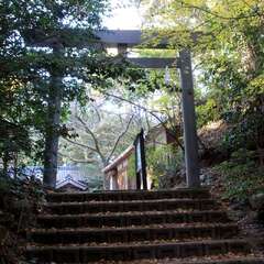 高宮神社(投稿日:2025年12月17日) 写真
