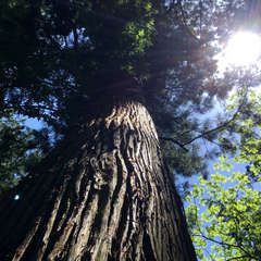 投稿日:2018年4月3日 写真