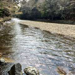 投稿日:2015年3月29日 写真