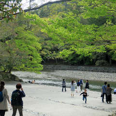 投稿日:2023年3月9日 写真