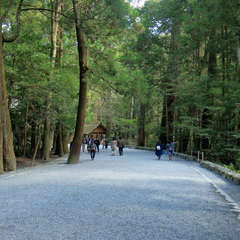 投稿日:2023年3月9日 写真