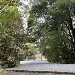 投稿日:2021年4月22日 写真