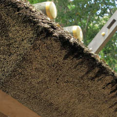 投稿日:2023年3月9日 写真