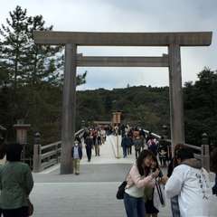 投稿日:2016年3月28日 写真