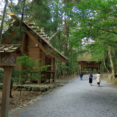 投稿日:2023年3月9日 写真