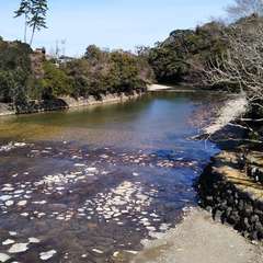 投稿日:2022年4月8日 写真
