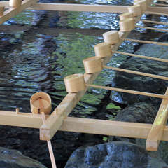 投稿日:2023年3月9日 写真