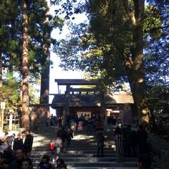 投稿日:2017年1月1日 写真