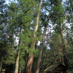 投稿日:2023年3月9日 写真