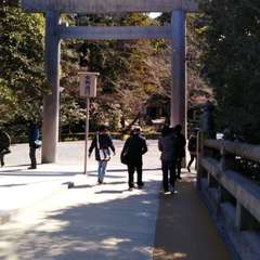 投稿日:2022年4月8日 写真